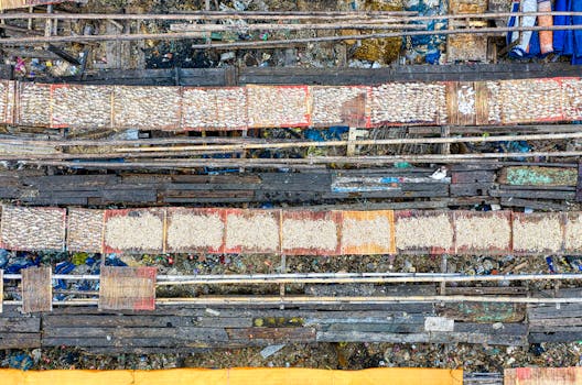 Plastové Obaly: Bezpečí, Pro a Proti, Vliv na Životní Prostředí