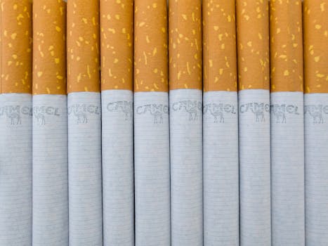 Jak Obaly Produktů Ovlivňují Vaše Zdraví: Rizika a Řešení