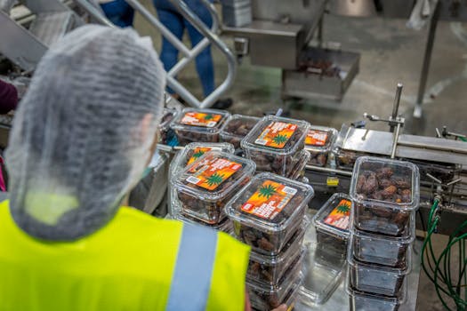 Jak Obal Ovlivňuje Kvalitu Potravin: Materiály a Technologie